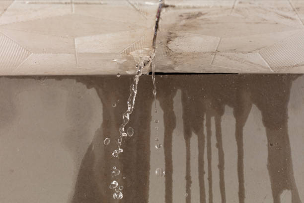 Professional Structural Drying technician working in Scottown, OH